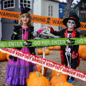 6M Halloween Themed Warning Tape