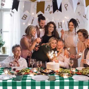 Gingham LDPE Plastic Tablecloth